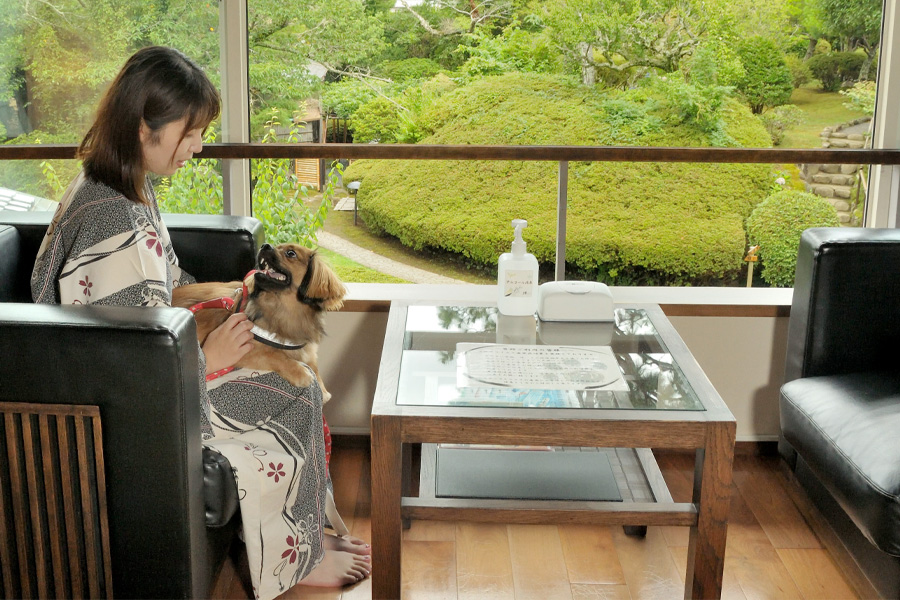 伊豆修善寺 絆+